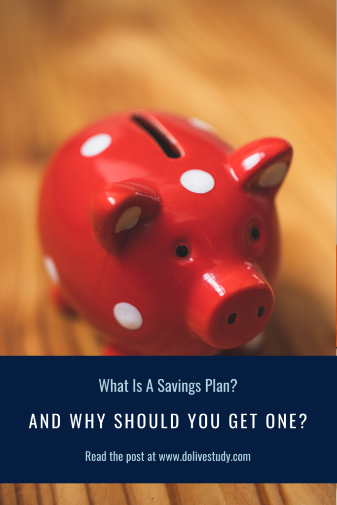 27 683x1024 - What Is A Savings Plan?