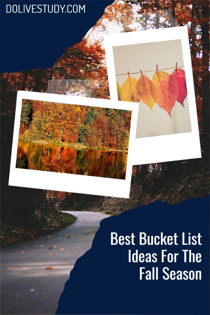 Best Bucket List Ideas For The Fall Season 1 683x1024 - Best Bucket List Ideas For The Fall Season