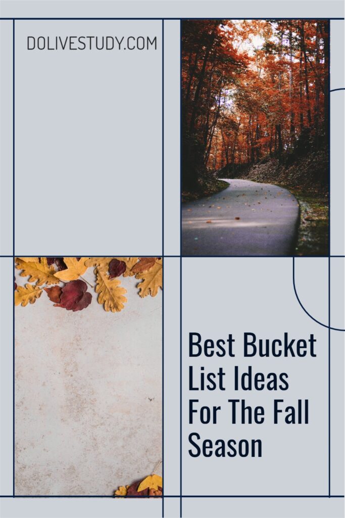 Best Bucket List Ideas For The Fall Season 2 683x1024 - Best Bucket List Ideas For The Fall Season