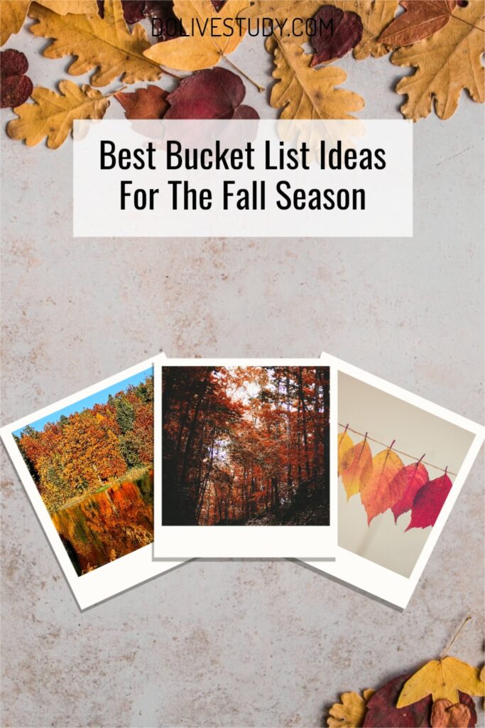 Best Bucket List Ideas For The Fall Season 3 683x1024 - Best Bucket List Ideas For The Fall Season