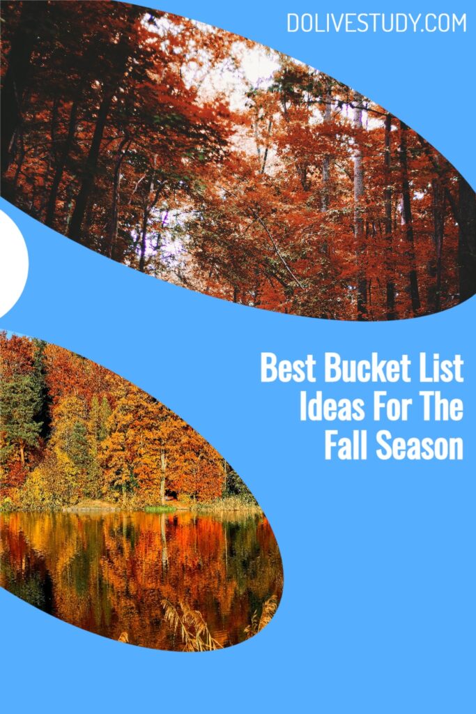 Best Bucket List Ideas For The Fall Season 4 683x1024 - Best Bucket List Ideas For The Fall Season