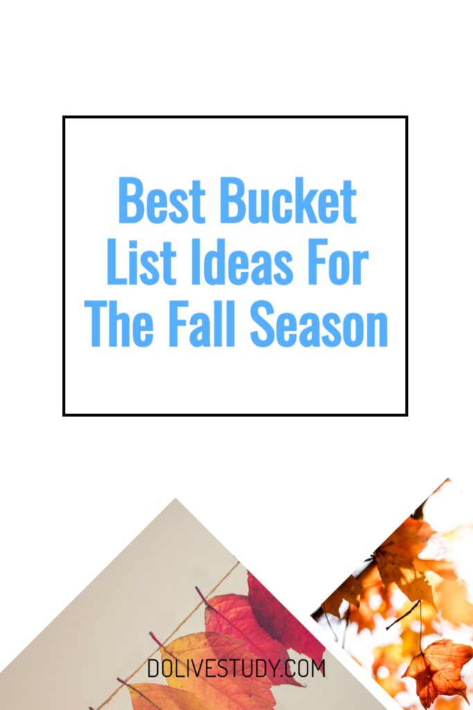 Best Bucket List Ideas For The Fall Season 5 683x1024 - Best Bucket List Ideas For The Fall Season