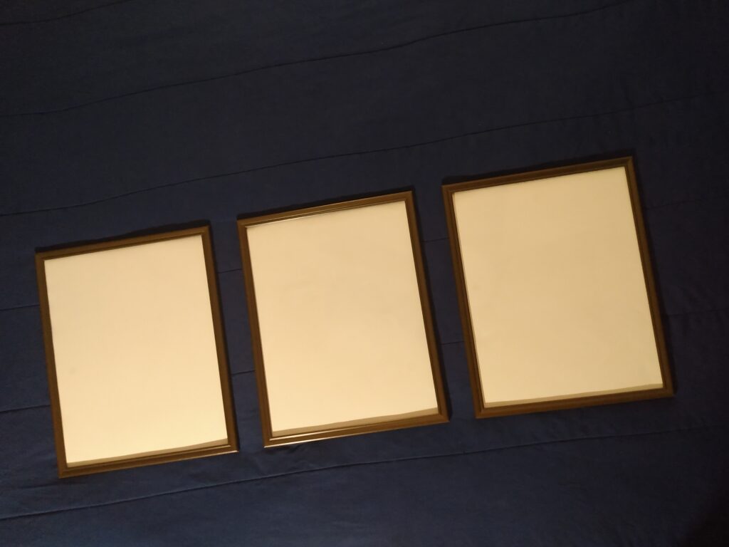 IMG 20220113 171820134 1024x768 - Visualize Your Goal With An Inexpensive Vision Board (New Year's Resolution)