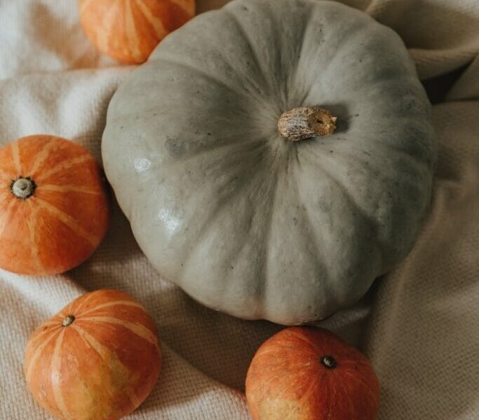 10 Delicious Halloween Recipes For Your Party This Fall