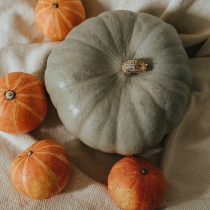 10 Delicious Halloween Recipes For Your Party This Fall image editor output image221246395 1636359285314 - 10 Delicious Halloween Recipes For Your Party This Fall